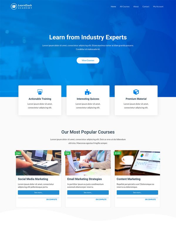Online Learning Academy Website Templates