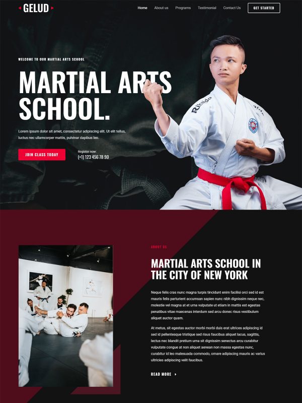 Martial Arts School Website Templates