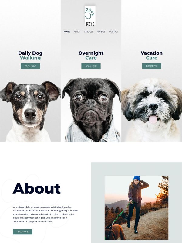 Pet Care Website Templates