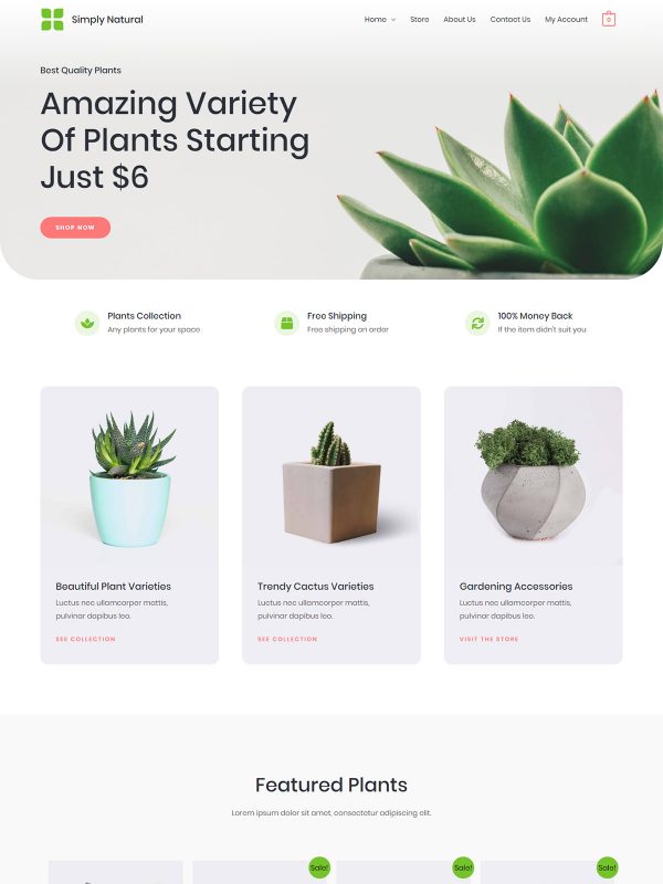 Simply Natural Website Templates